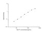 Standard Curve