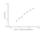 Standard Curve