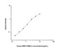 Standard Curve