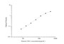 Standard Curve