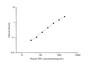 Standard Curve