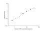 Standard Curve