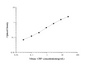 Standard Curve