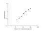 Standard Curve