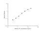 Standard Curve