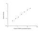 Standard Curve