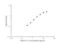 Standard Curve