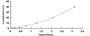 Standard Curve