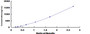 Standard Curve