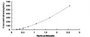 Standard Curve