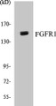 Western blot analysis of extracts from 293 cells, treated with EGF 200ng/ml 30', using FGFR1 (Ab-154) Antibody. 