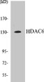 Western blot analysis of extracts from HepG2 cells, using HDAC6 (Ab-22) Antibody. 