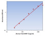 Human Total MMP-7 ELISA Kit allows for the detection and quantification of endogenous levels of natural and/or recombinant Human Total MMP-7 proteins within the range of 32-2000 pg/ml.