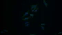 FITC staining on IF; Samples: Human HepG2 cell; Primary Ab: 20ug/ml Rabbit Anti-Human BAG2 Antibody Second Ab: 1.5ug/ml FITC-Linked Caprine Anti-Rabbit IgG Polyclonal Antibody