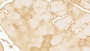 DAB staining on IHC-P; Samples: Human Skeletal muscle Tissue; Primary Ab: 10ug/ml Mouse Anti-Human FABP3 Antibody; Second Ab: 2ug/mL HRP-Linked Caprine Anti-Mouse IgG Polyclonal Antibody