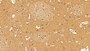 DAB staining on IHC-P; Sample: Human Cerebrum Tissue; Primary Ab: 10ug/ml Mouse Anti-Human TUBb Antibody Second Ab: 2ug/mL HRP-Linked Caprine Anti-Mouse IgG Polyclonal Antibody