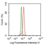 Human SH-SY5Y cell line was fixed with 2% paraformaldehyde
