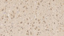 DAB staining on IHC-P; Sample: Human Cerebrum Tissue; Primary Ab: 10ug/ml Mouse Anti-Human APOL2 Antibody; Second Ab: 2ug/mL HRP-Linked Caprine Anti-Mouse IgG Polyclonal Antibody