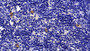 DAB staining on IHC-P; Sample: Mouse Spleen Tissue; Primary Ab: 30ug/ml Mouse Anti-Mouse GZMK Antibody Second Ab: 2ug/mL HRP-Linked Caprine Anti-Mouse IgG Polyclonal Antibody