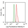 Human THP1 cell line was fixed with 2% paraformaldehyde