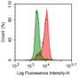 Human NB-4 cell line was stained with 5ul/test mouse Anti-human CD79B Polyclonal Antibody