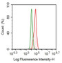 Mouse Hepa1-6 cell was fixed with 2% paraformaldehyde