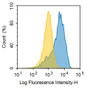 Human SH-SY5Y cell line was fixed with 2% paraformaldehyde (10 min) , permeabilised with 0.1% BSA-Triton X-100,then stained with 5ul/test mouse Anti-human UCHL1 Polyclonal Antibody