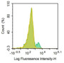 Human peripheral blood lymphocytes were stained with 5ul/test mouse Anti-human TNFRSF5 Polyclonal Antibody