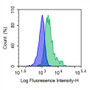 Human peripheral blood lymphocytes were stained with 5ul/test mouse Anti-human MHCB Polyclonal Antibody