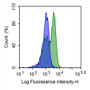 Human peripheral blood lymphocytes were stained with 5ul/test mouse Anti-human TNFRSF7 Polyclonal Antibody