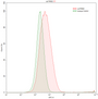 HepG2 human hepatocellular carcinoma cell line was stained with rabbit Anti-rat PKM2 Polyclonal Antibody