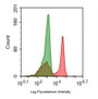 Human peripheral blood lymphocytes were stained with 5ul/test mouse Anti-human CD5 Monoclonal Antibody