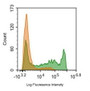 Human peripheral blood lymphocytes were stained with 5ul/test mouse Anti-human CD8a Monoclonal Antibody
