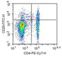 Human peripheral blood lymphocytes were stained with mouse Anti-human CD25 Monoclonal Antibodies