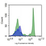 Human peripheral blood lymphocytes were stained with 5ul/test mouse Anti-human CD45 Monoclonal Antibody