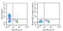 Human peripheral blood lymphocytes were stained with 10ug/ml mouse Anti-human CD8a Monoclonal Antibodies