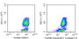 Human peripheral blood lymphocytes were stained with 20ug/ml mouse Anti-human CD59 Monoclonal Antibodies