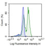 After stimulated by 100ng/ml PHA with 3days,Human peripheral blood lymphocytes were stained with 10ug/ml mouse Anti-human TFR Monoclonal Antibody