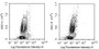 Human peripheral blood lymphocytes were stained with 20ug/ml mouse Anti-human CD38 Monoclonal Antibody