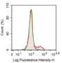 Human peripheral blood lymphocytes were stained with 10ug/ml mouse Anti-human CD79B Monoclonal Antibodies