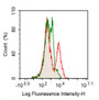 Human peripheral blood lymphocytes were stained with 10ug/ml mouse Anti-human CD13 Monoclonal Antibodies