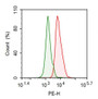 Human Hela cell line was fixed with 2% paraformaldehyde