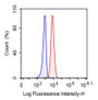 Human THP1 cell line was fixed with 2% paraformaldehyde