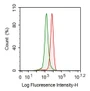 Human SiHa cell line was fixed with 1% paraformaldehyde