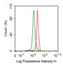 Human SiHa cell line was fixed with 1% paraformaldehyde