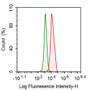 Human Jurkat cell line was fixed with 2% paraformaldehyde