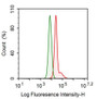 Human HepG2 cell line was fixed with 2% paraformaldehyde