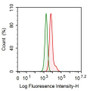 Human MCF7 cell line was fixed with 2% paraformaldehyde