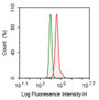 Human MDA-MB-231 cell line was fixed with 2% paraformaldehyde