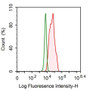 Mouse Hepa1-6 cell line was fixed with 2% paraformaldehyde